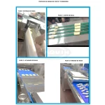 MULTIFORMADORA DE MASA PAN CHAMPION DE 1 ENTRADA Y 4 LINEAS DE SALIDA (copia) - Imagen 5