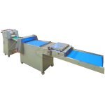 MULTIFORMADORA DE MASA PAN CHAMPION DE 1 ENTRADA Y 4 LINEAS DE SALIDA (copia) - Imagen 2